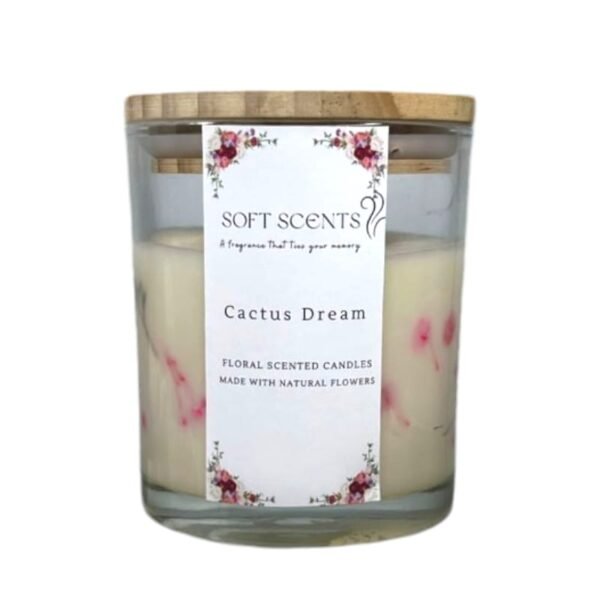 Cactus Dream:300 ml