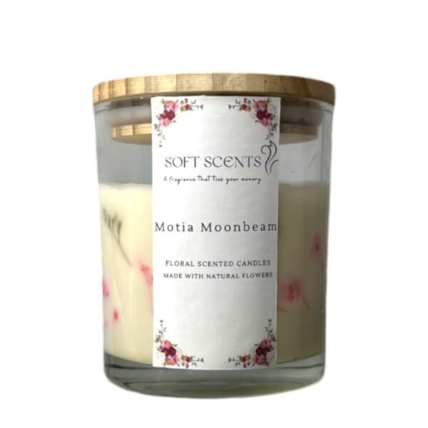 Motia Moon Bean:300 ml